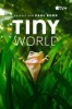 Tiny World