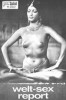 Welt-Sex-Report