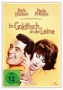 Ein Goldfisch an der Leine