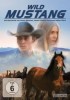 Wild Mustang