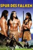 Spur des Falken