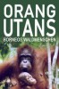 Orang-Utans - Borneos Waldmenschen
