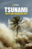Tsunami: Wettlauf gegen die Zeit