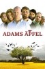 Adams Äpfel