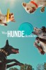 Was Hunde denken