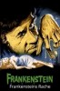 Frankensteins Rache