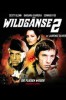Wildgänse 2
