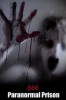 666 - Paranormal Prison