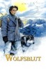 Wolfsblut