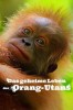 Das geheime Leben der Orang-Utans