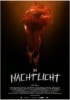 Im Nachtlicht