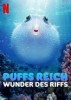 Puffs Reich: Wunder des Riffs