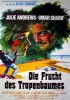 Die Frucht des Tropenbaumes