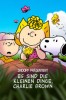 Snoopy präsentiert: Es sind die kleinen Dinge, Charlie Brown