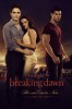 Breaking Dawn - Bis(s) zum Ende der Nacht - Teil 1