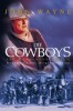 Die Cowboys