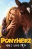 Ponyherz
