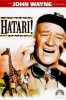 Hatari!