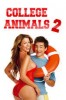 College Animals 2
