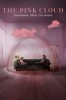 The Pink Cloud