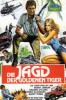 Die Jagd der goldenen Tiger