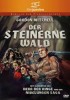 Der steinerne Wald