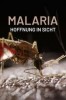 The Battle to Beat Malaria