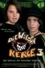 Die Wilden Kerle 3
