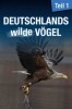 Deutschlands wilde Vögel - Teil 1