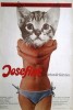 Josefine - das liebestolle Kätzchen
