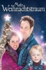 Mein Weihnachtstraum