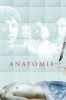 Anatomie