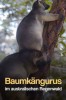 Baumkängurus im australischen Regenwald