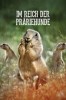 Im Reich der Präriehunde