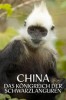 China's Secret Monkey Kingdom