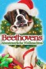 Beethovens abenteuerliche Weihnachten