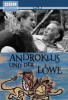 Androkles und der Löwe