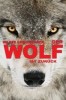 Wilder Grenzgänger - Der Wolf ist zurück