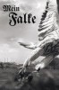 Mein Falke