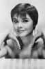 Neile Adams