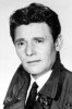 Harry Guardino