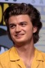 Joe Keery