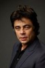 Benicio del Toro