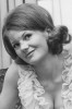 Anna Palk