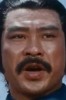 龍飛