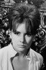 Jacquie Wallis