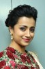 Trisha Krishnan