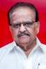 S. P. Balasubramaniam