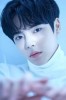 Lee Sae-on