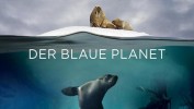 Unser blauer Planet II